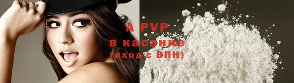 гашик Россошь