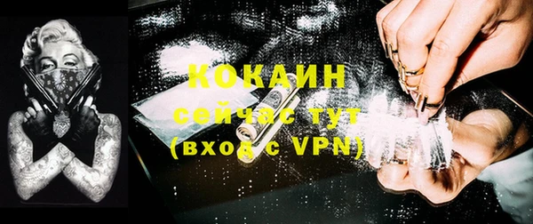 гашик Россошь