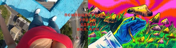 Альфа ПВП Приозерск